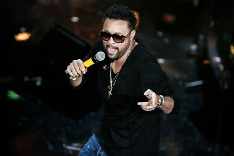 Shaggy_Camden